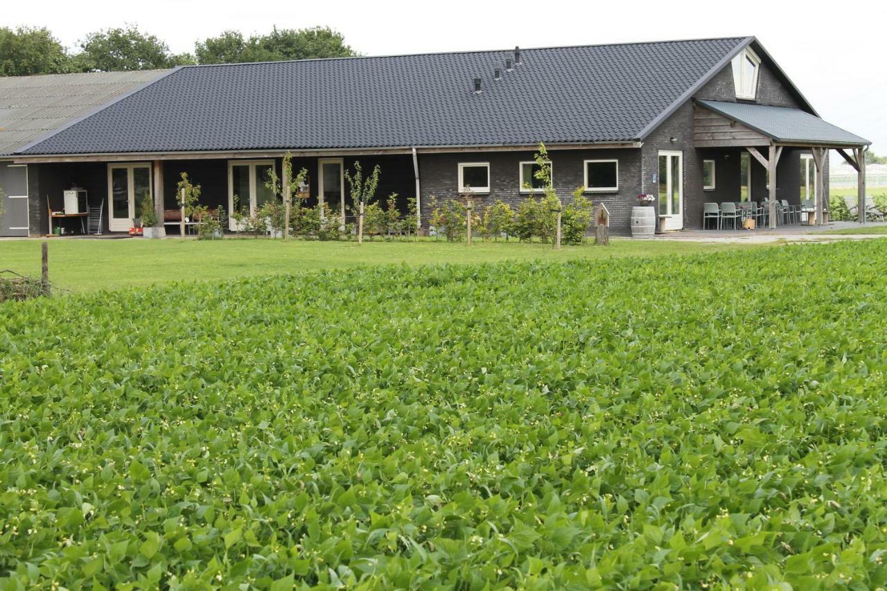 Terheijden Munnickenheide Buitengewoon Overnachten المظهر الخارجي الصورة